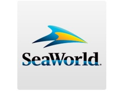 SeaWorld Orlando Dolphin Encounter - ADD-ON